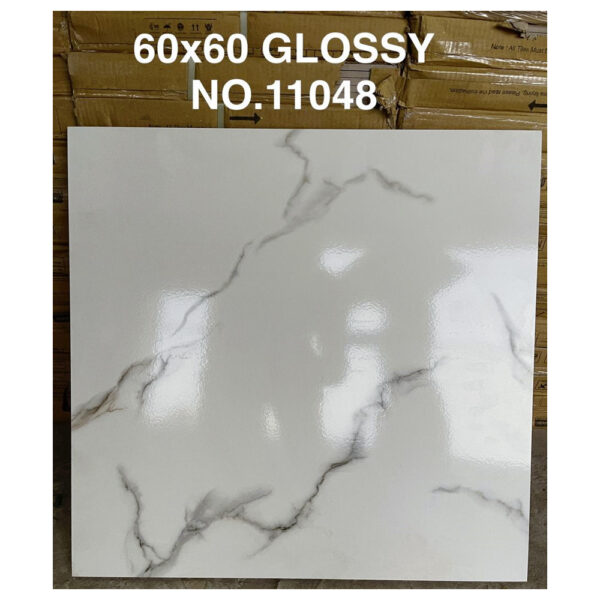 CARREAUX 60X60 GLOSSY NO 11048
